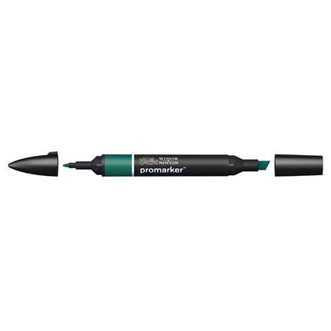 Pennarelli Winsor&Newton Promarker doppia punta fine-larga - holly G724 - 0203243